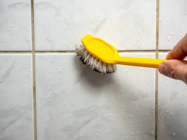 Best Mold Testing and Inspection Services in Stonewood, WV